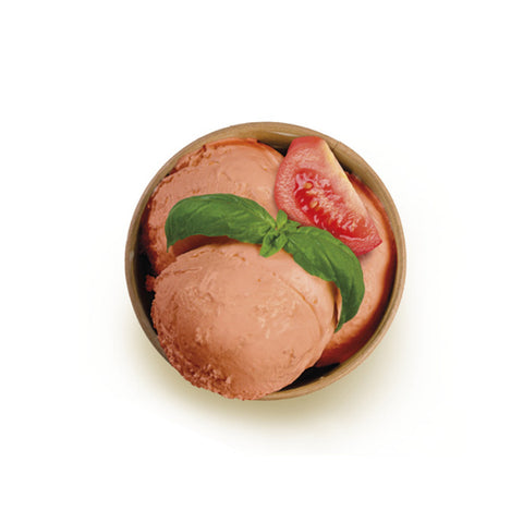 BASE SORBETTO GOURMET MEC3