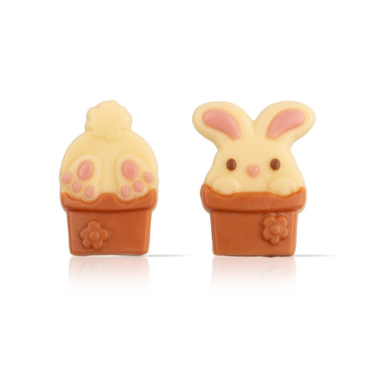 BUNNY IN FLOWERPOT ASSORTMENT DOBLA