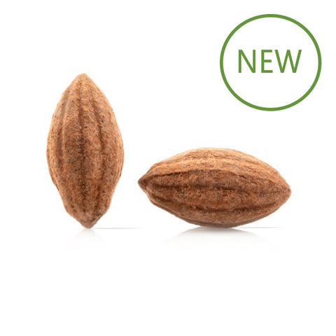 CACAO POD DOBLA ΔΙΑΚΟΣΜΗΤΙΚΑ DOBLA