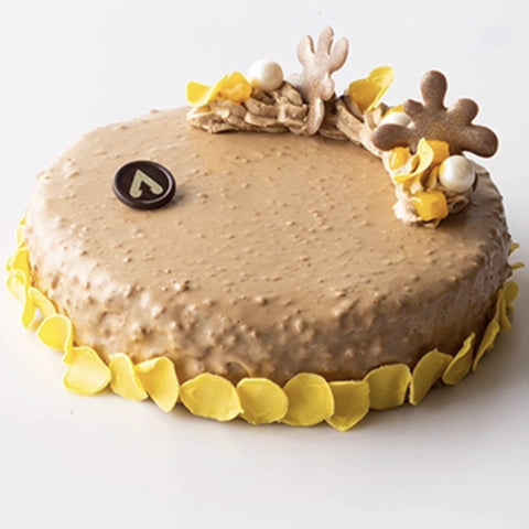 CHOCOSMART CARAMEL CRUMBLE IRCA