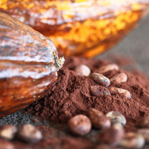 CACAO 22/24 IRCA - LAOUDIS FOODS