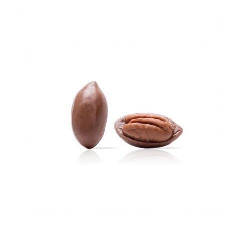 CHOCOLATE PECAN NUT IN SHELL DOBLA - LAOUDIS FOODS