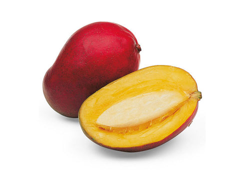 MANGO ALFONSO 500 MEC3 ΠΑΓΩΤΟ, ΓΕΥΣΗ, ΠΑΣΤΑ, ΣΟΡΜΠΕ MEC3