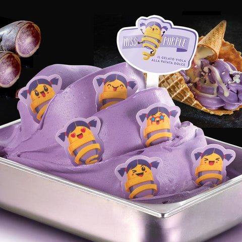 KIT MISS PURPLE MEC3 ΠΑΓΩΤΟ MEC3