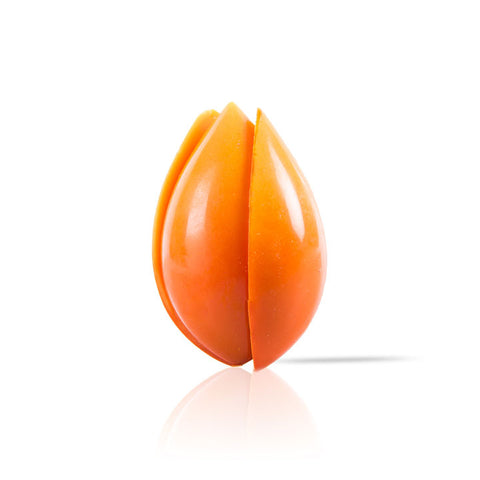 TULIP ORANGE DOBLA